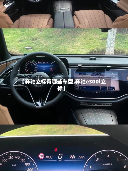 【奔驰立标有哪些车型,奔驰e300l立标】