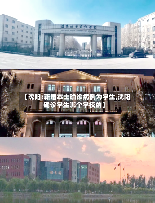 【沈阳:新增本土确诊病例为学生,沈阳确诊学生哪个学校的】